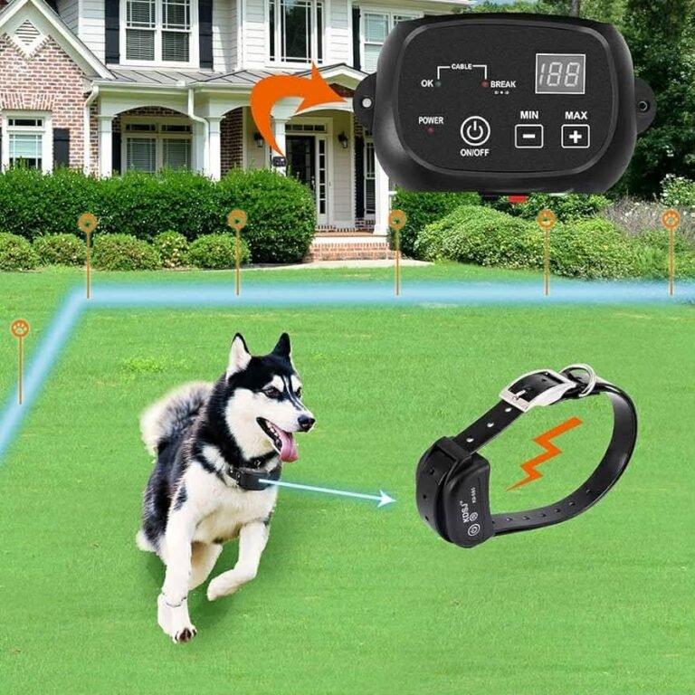 Upgrade Your Dog’s Training with Mimofpet’s Reliable Wireless Fence Systems